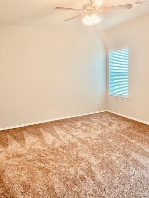 31422 Horseshoe Meadow Bend - Photo 13