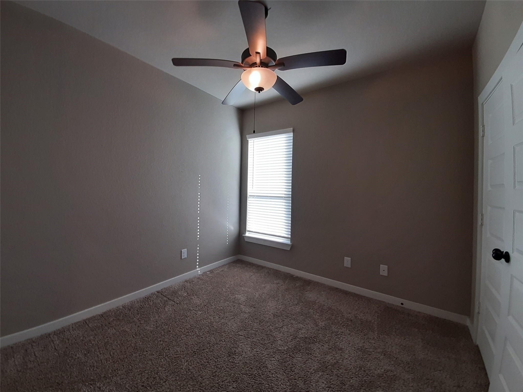 9717 Grosbeak Lane - Photo 11