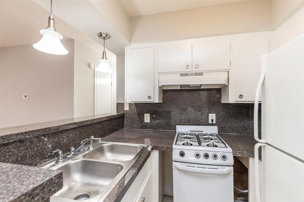 425 Emerson Street - Photo 7