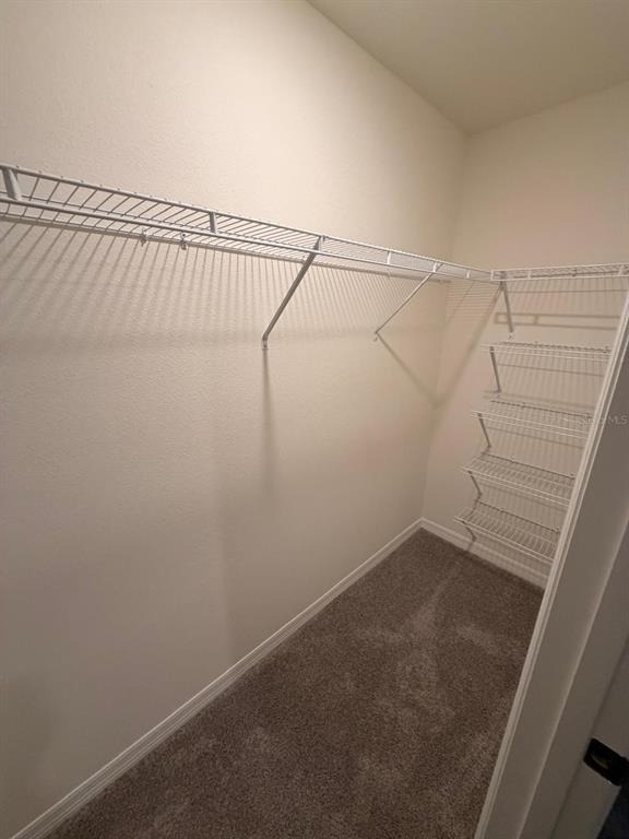 2946 Brie Hammock Bend - Photo 8