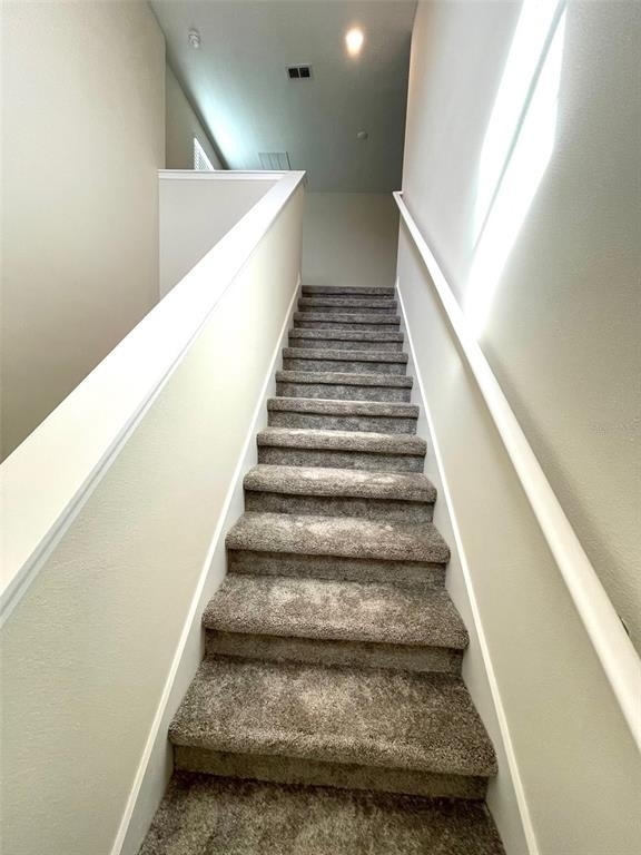 2905 Muller Oak Loop - Photo 9