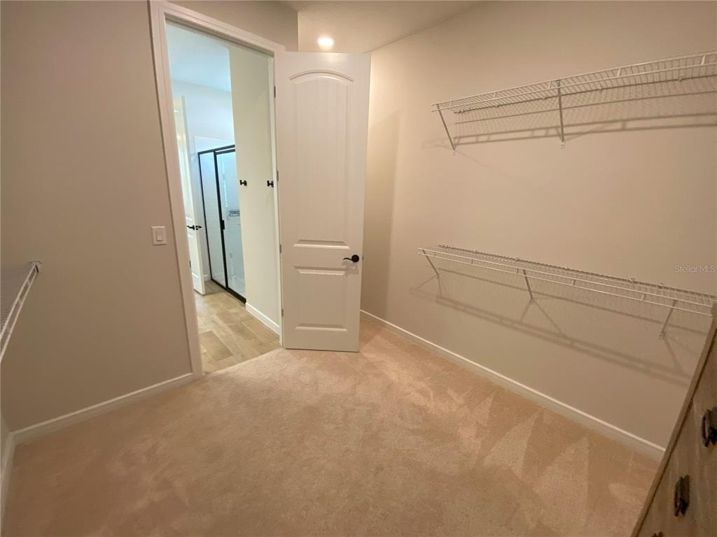 3009 Green Park Drive - Photo 17