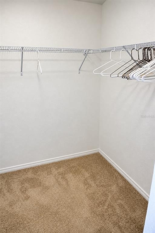2951 Marbella Drive - Photo 25
