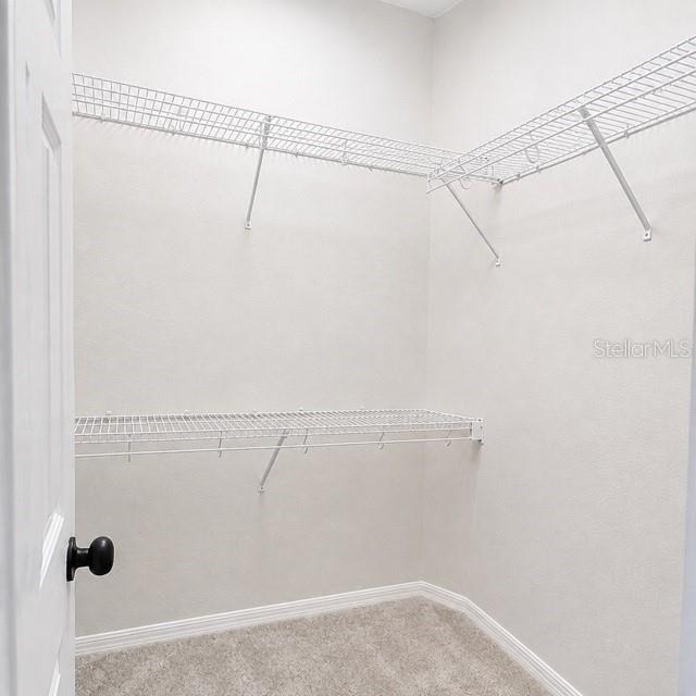 10451 Andover Point Circle - Photo 16