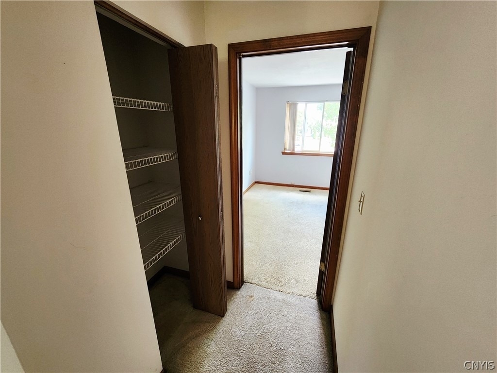 8214 Honeysuckle Drive - Photo 22