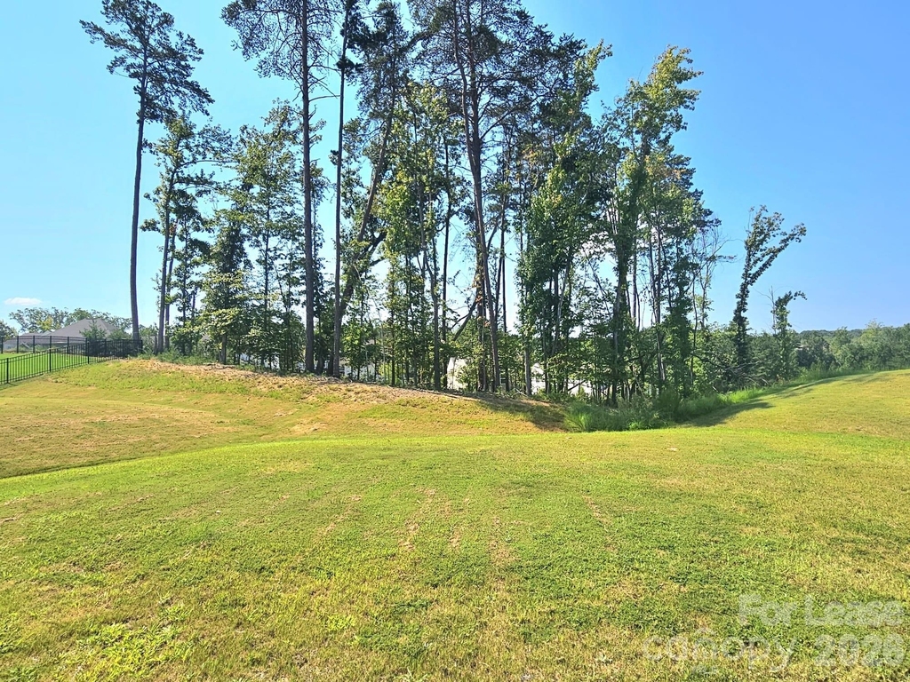15704 Capps Road - Photo 23