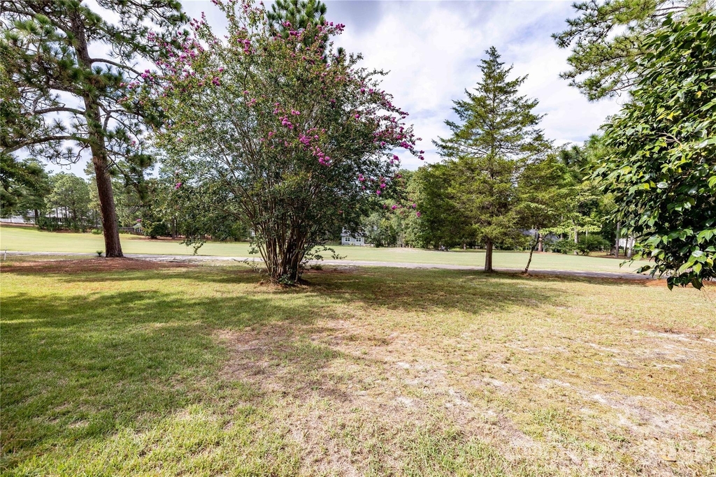 7 Buckhorn Road - Photo 3