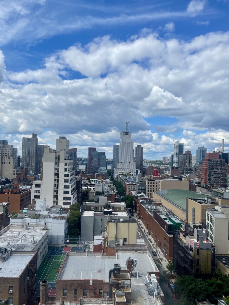 West 52nd Street - Photo 3