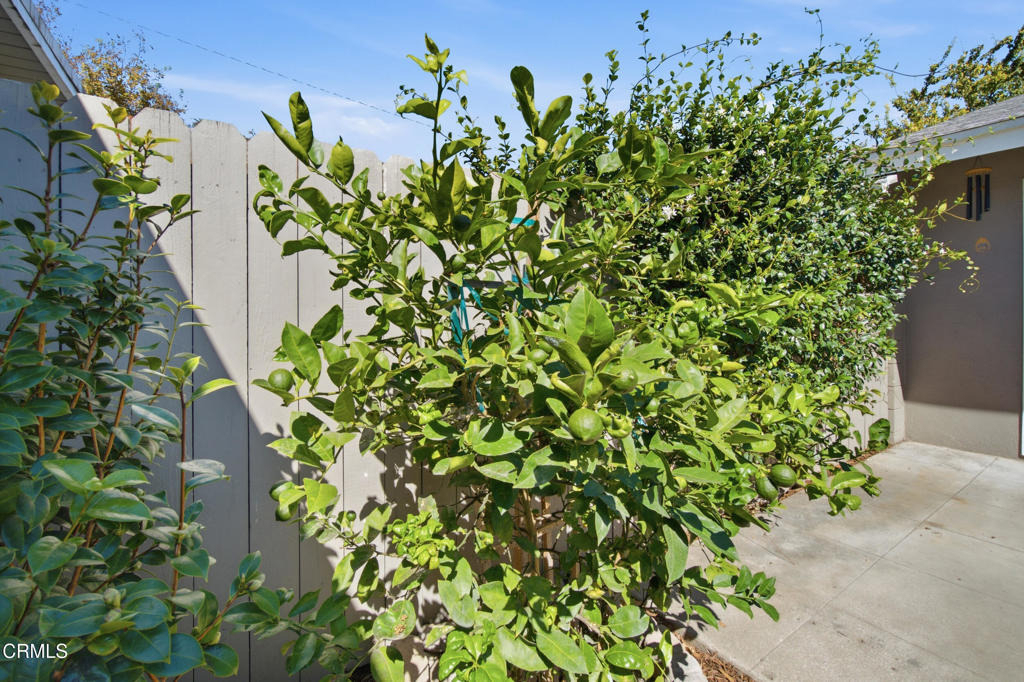 184 W Fiesta Green - Photo 30