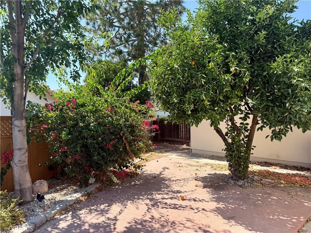 23900 Pentland - Photo 4