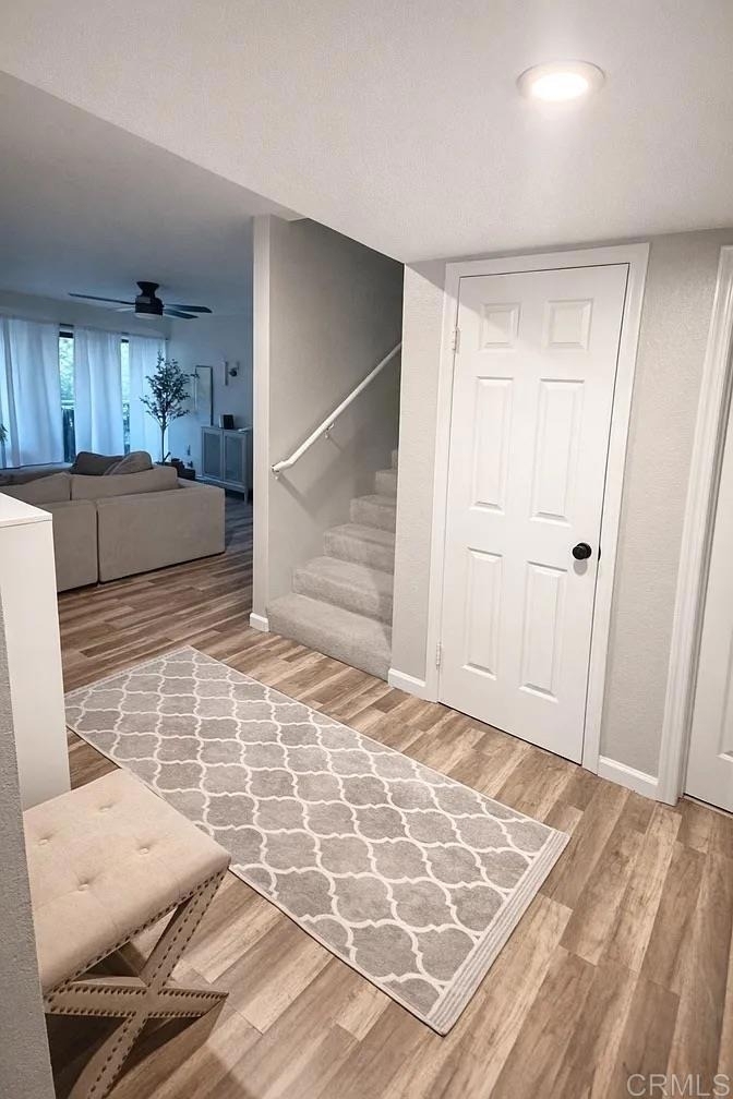 2537 Navarra Drive - Photo 5