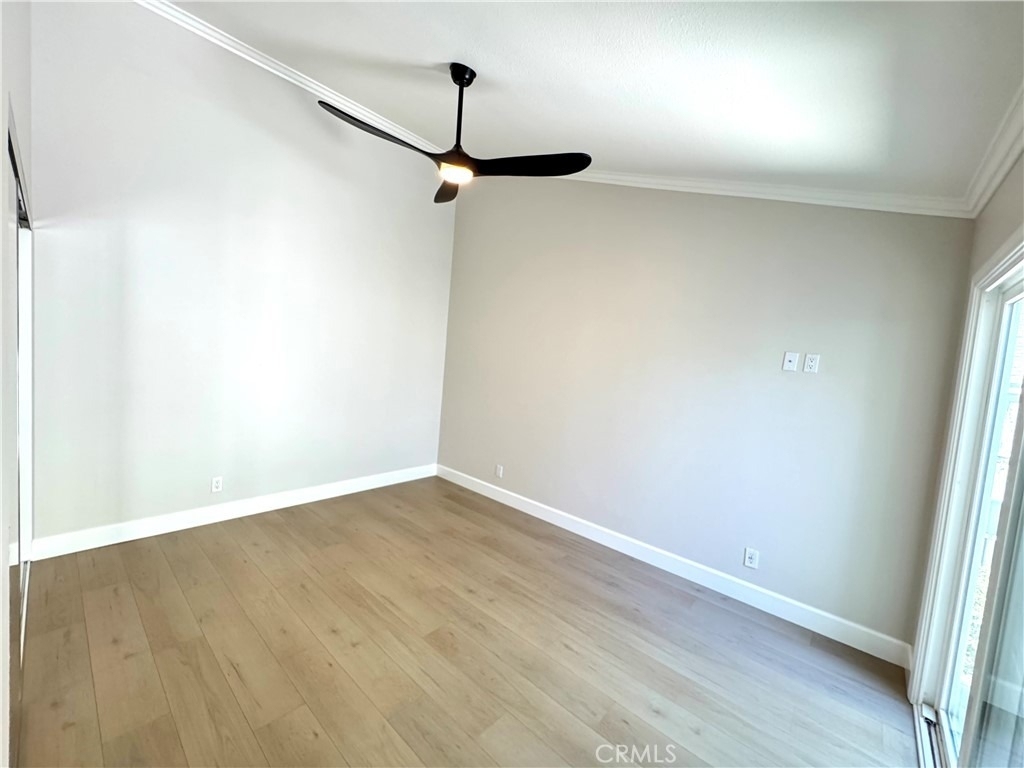 34008 Selva Road - Photo 11