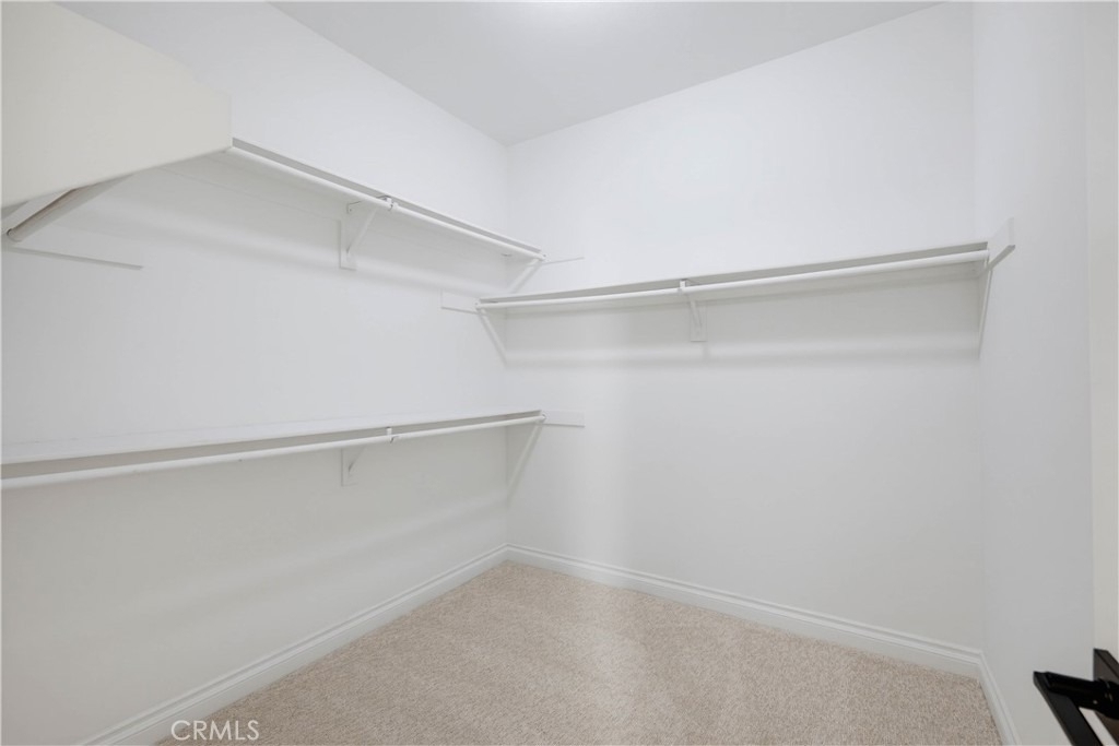 605 Corte Calmo - Photo 38