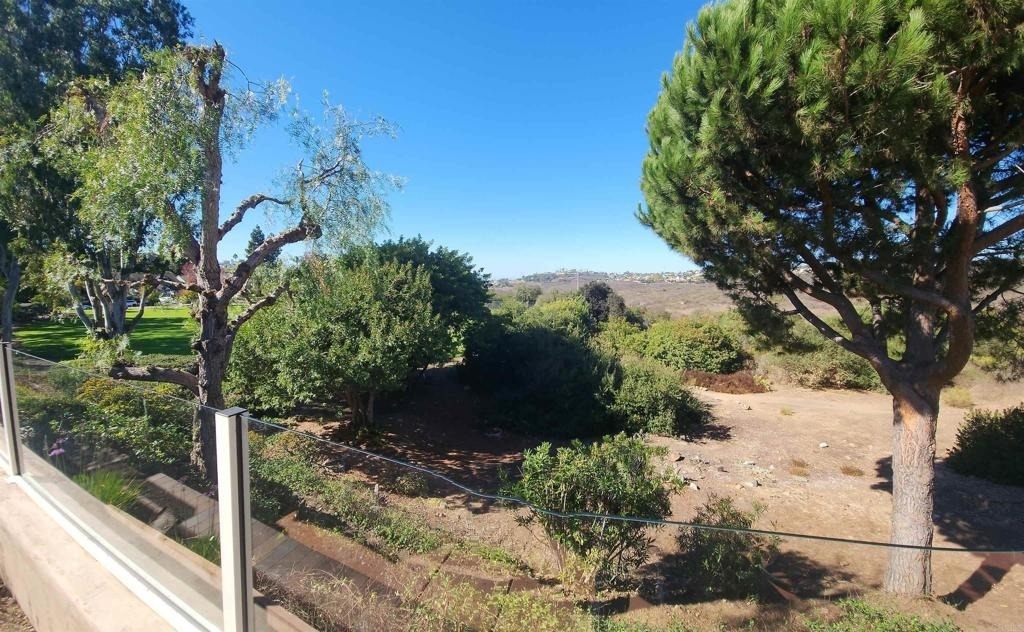 7245 Carpa Court - Photo 38