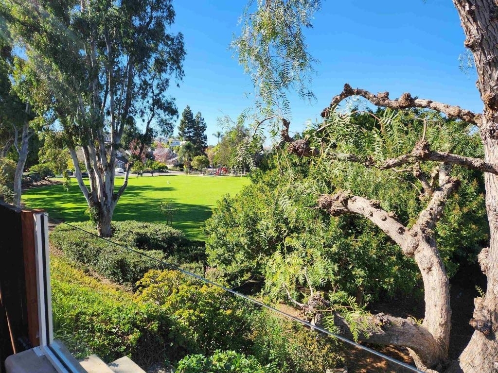 7245 Carpa Court - Photo 40
