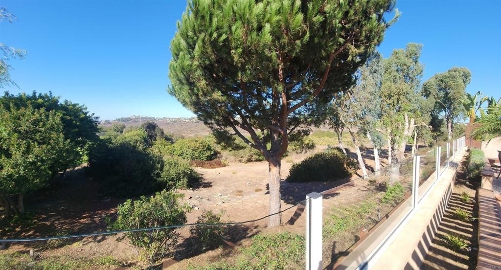 7245 Carpa Court - Photo 39