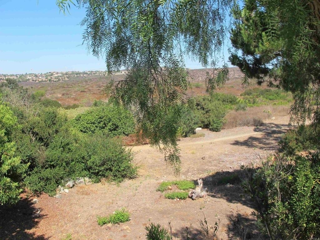 7245 Carpa Court - Photo 41