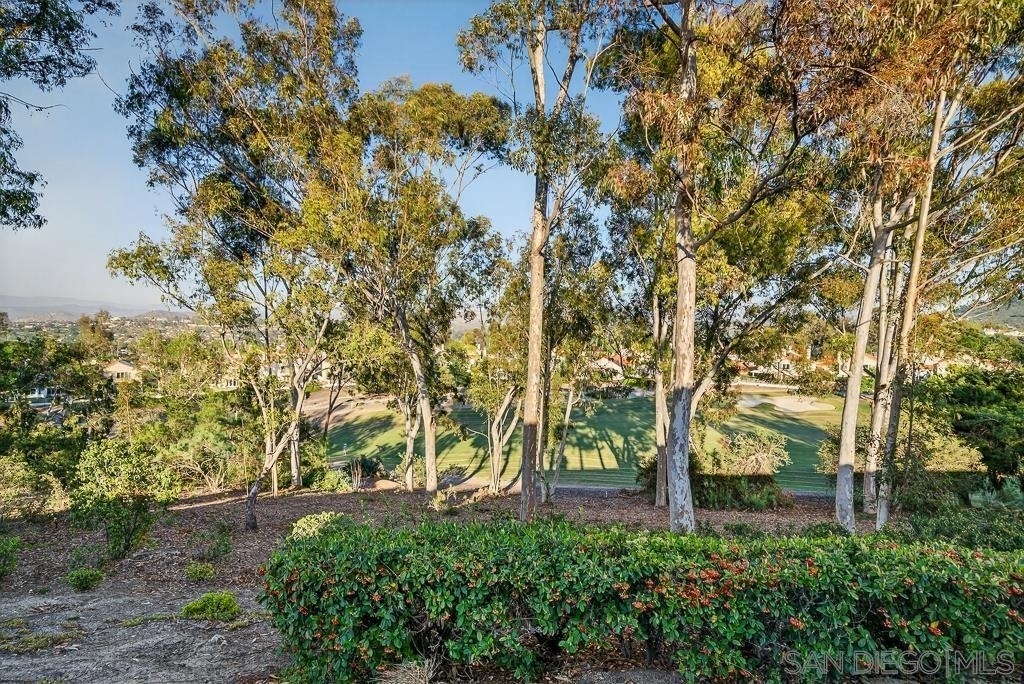 12242 Paseo Lucido - Photo 57