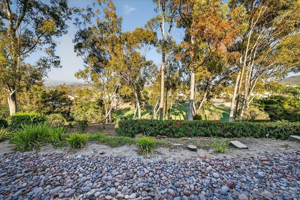 12242 Paseo Lucido - Photo 58