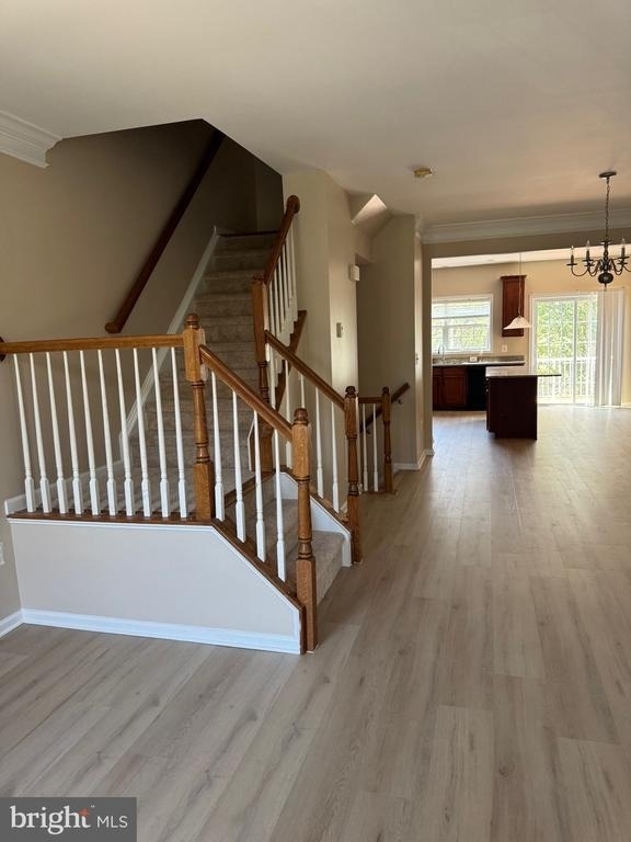 23093 Sunbury Street - Photo 8
