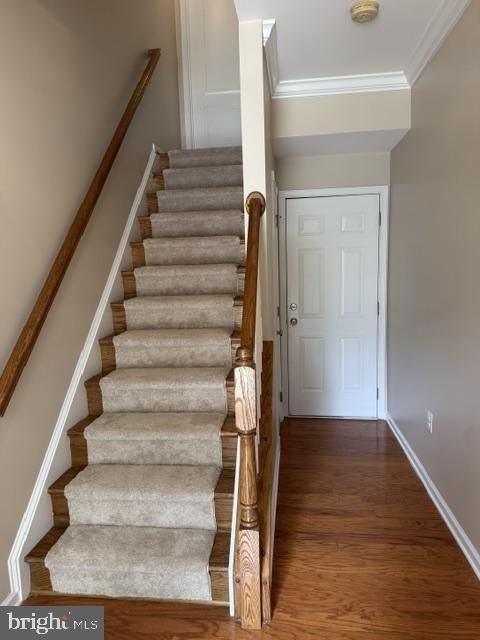 23093 Sunbury Street - Photo 9