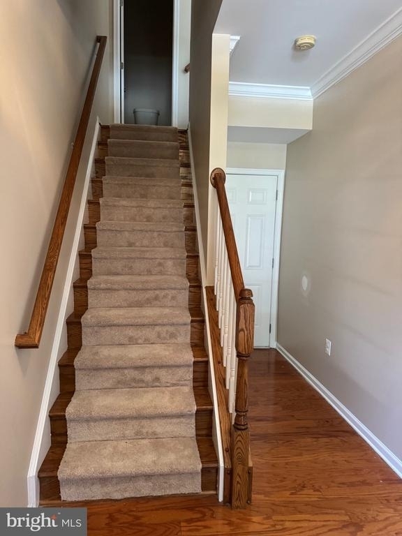 23093 Sunbury Street - Photo 1