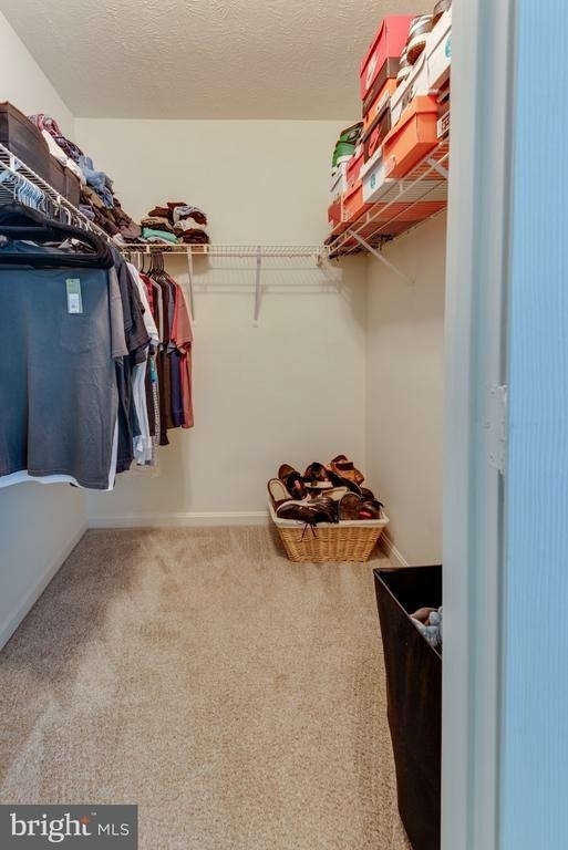 22082 Saint Clements Circle - Photo 15