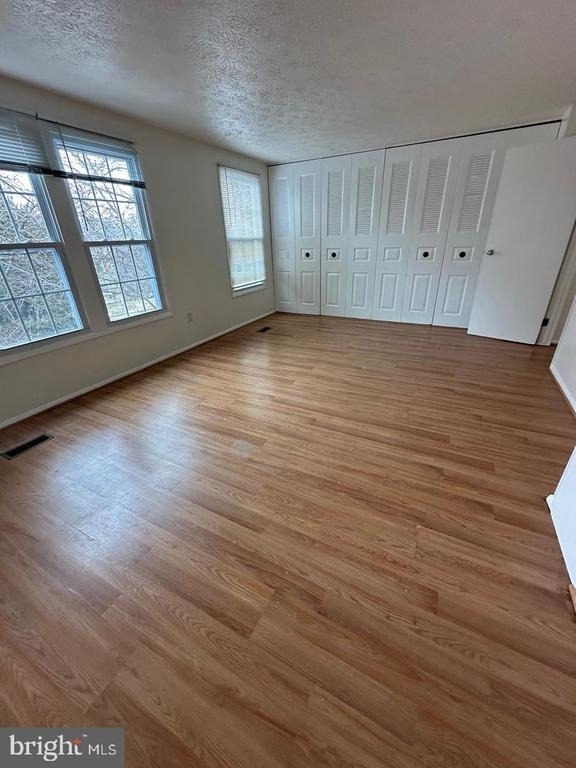 19611 Twinflower Circle - Photo 7