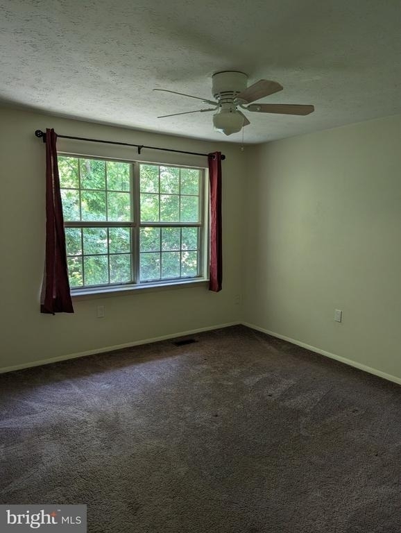 1317 Old Pine Court - Photo 7