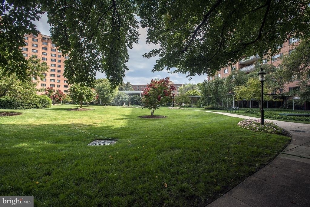 4201 Cathedral Avenue Nw - Photo 16