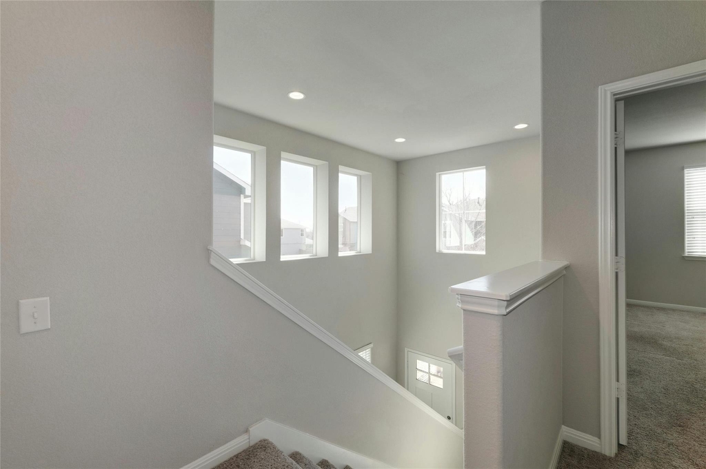14612 Frankel Loop - Photo 15
