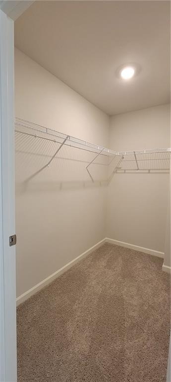23 Berryville Drive - Photo 12