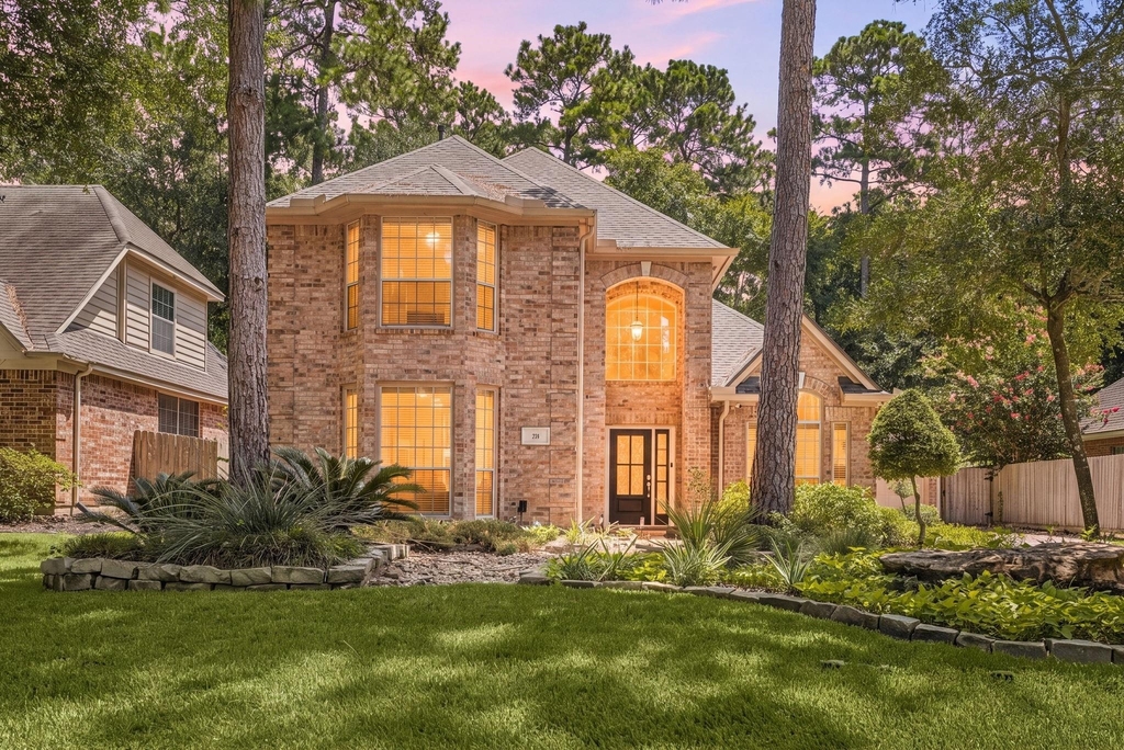 26 Cinnamon Teal Place - Photo 0