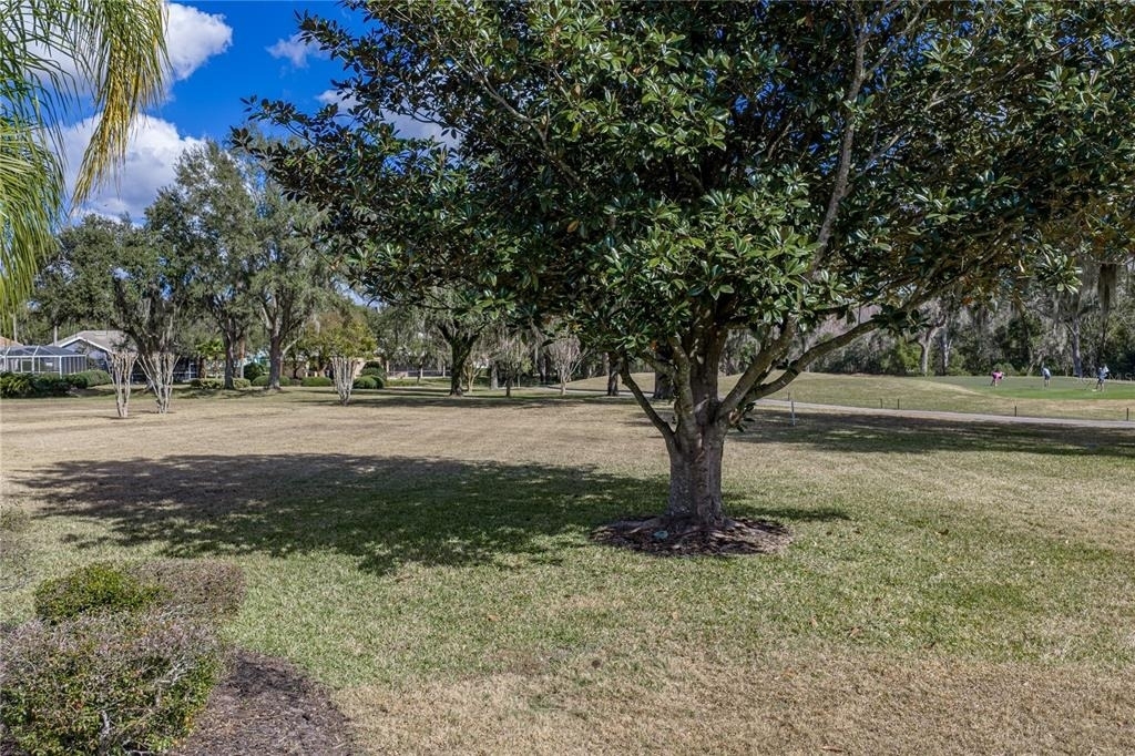 12518 Lake Jovita Boulevard - Photo 74
