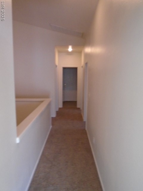5439 Echo Hawk Street - Photo 14