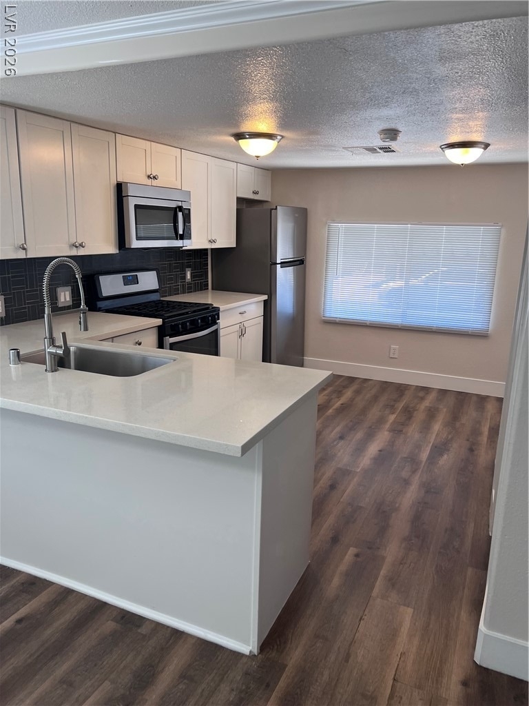 3490 Death Valley Drive - Photo 4