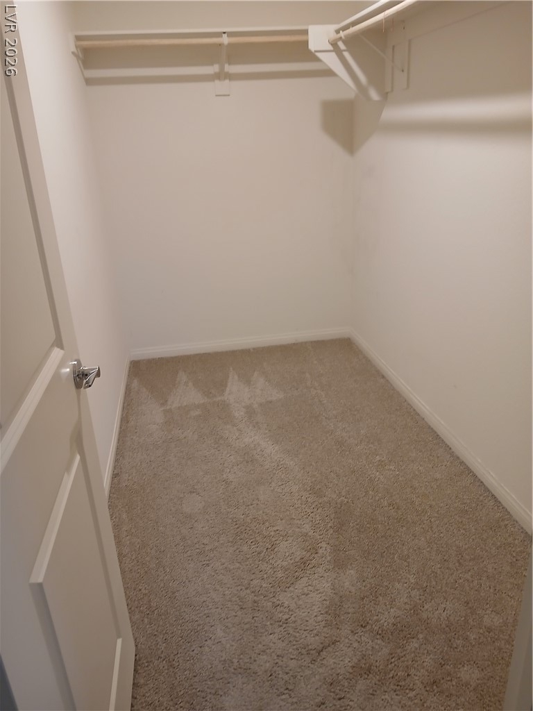 6811 Alpine White Court - Photo 9