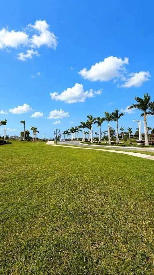14252 Murney Way - Photo 42