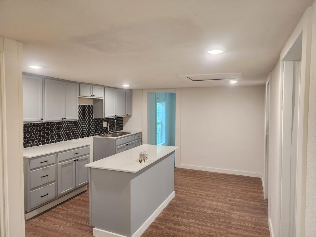 4643 Luzon Street - Photo 1