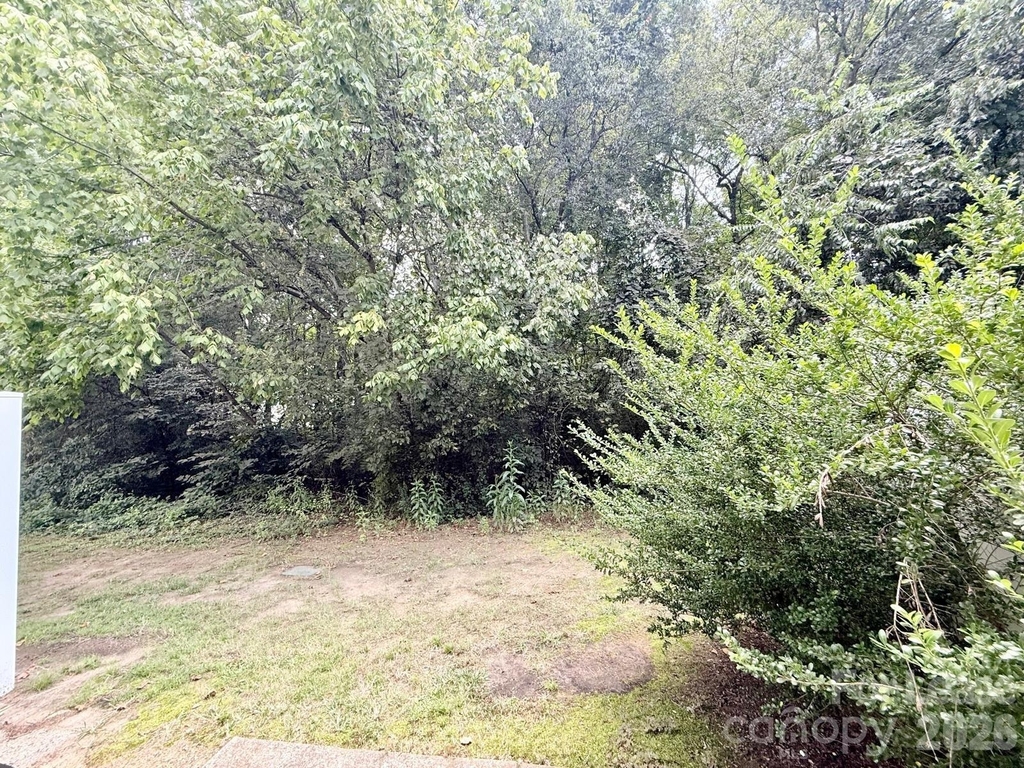 11257 Lions Mane Street - Photo 16