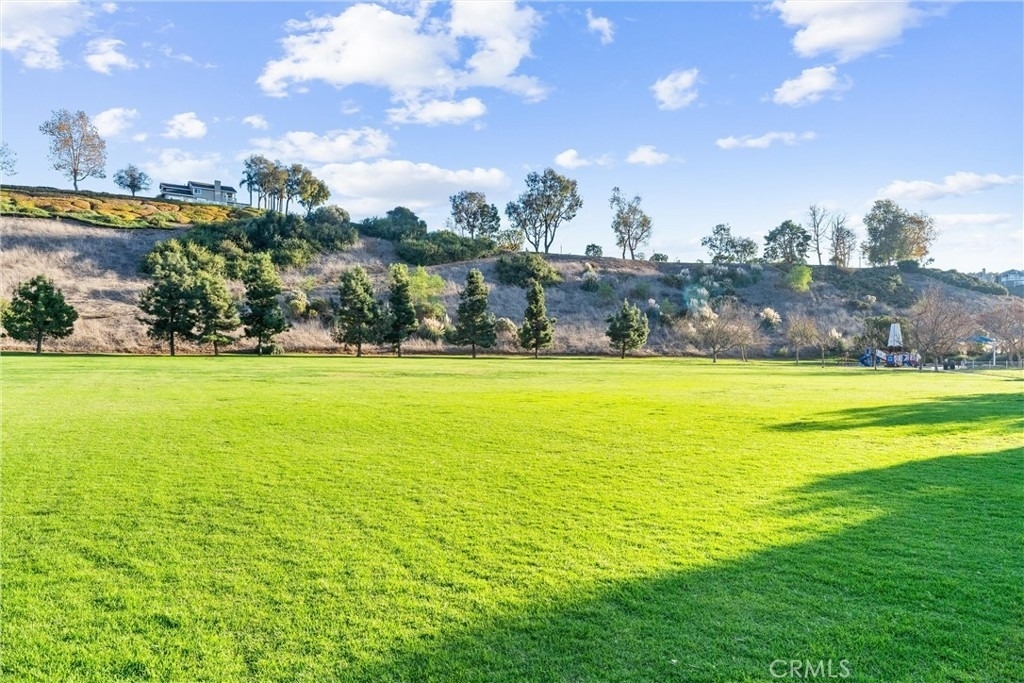 18 Byron Close - Photo 23