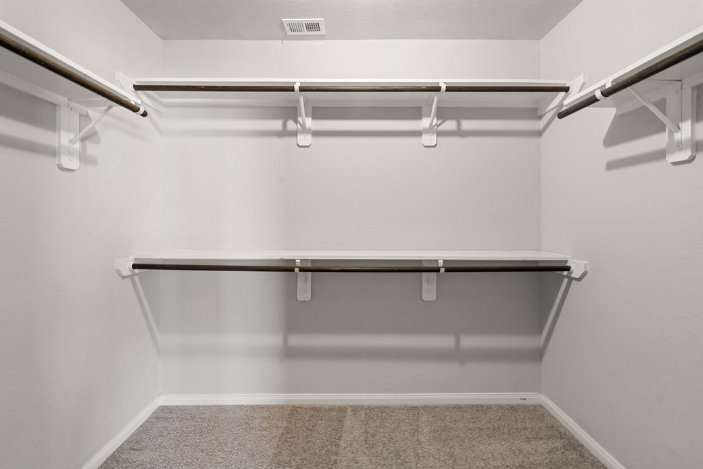 24806 Bastiani Canvas Lane - Photo 27