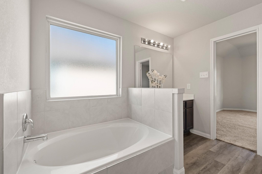 24806 Bastiani Canvas Lane - Photo 39