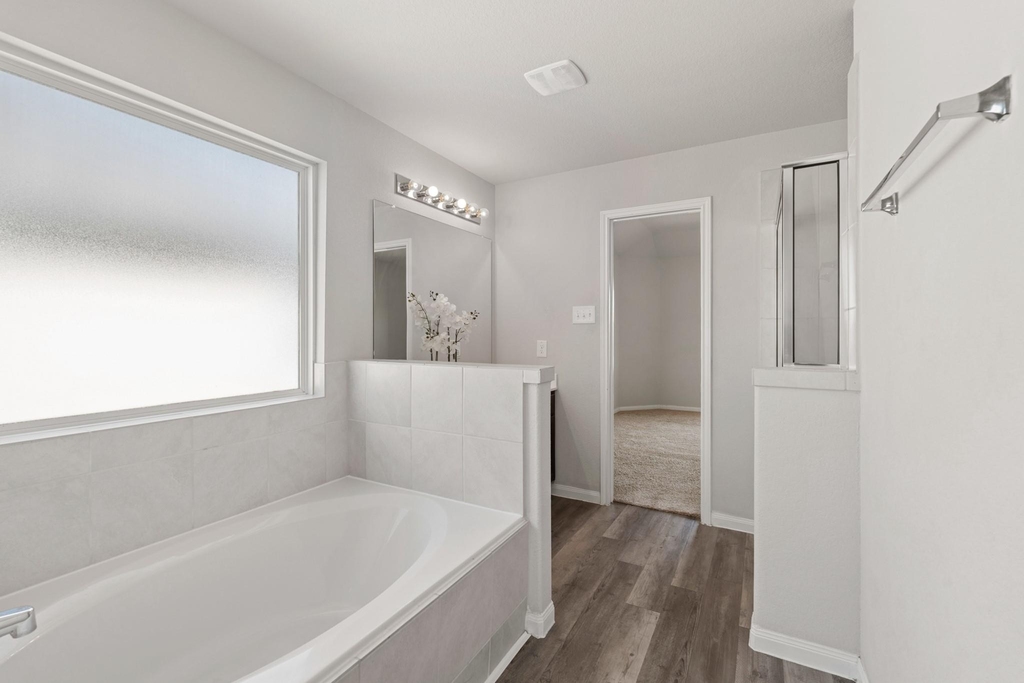 24806 Bastiani Canvas Lane - Photo 24
