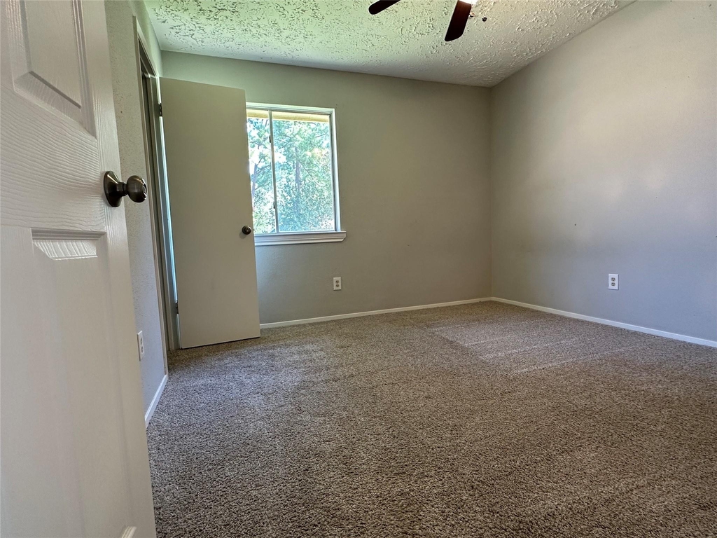 17007 Jane Lynn Lane - Photo 12