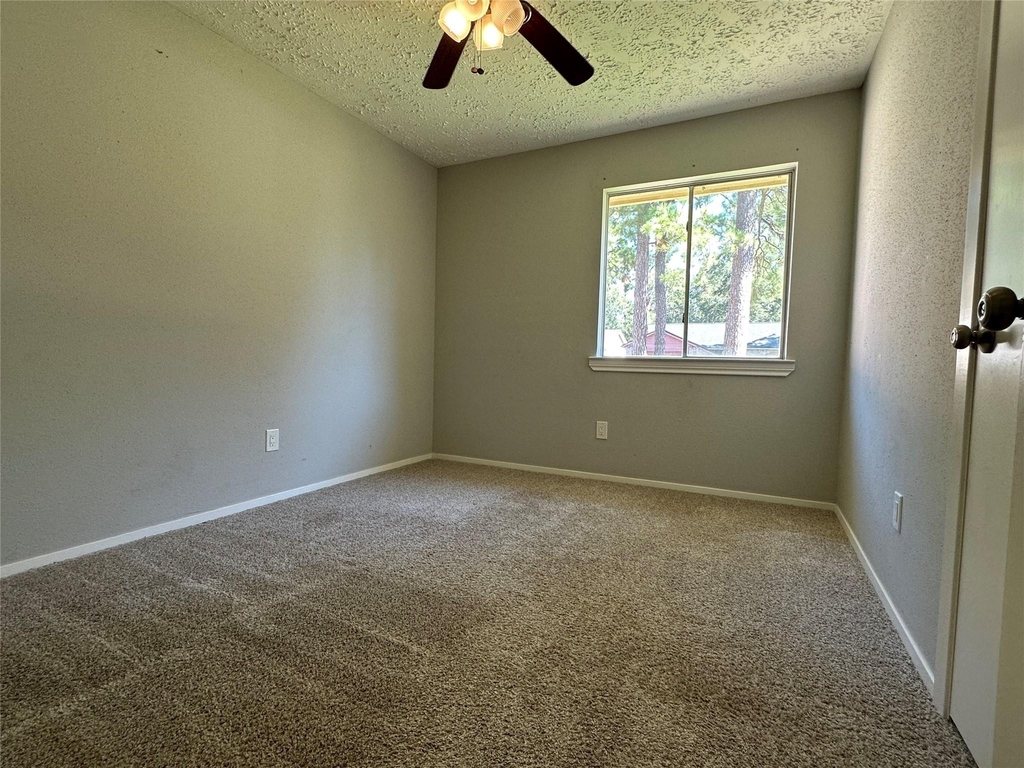 17007 Jane Lynn Lane - Photo 11