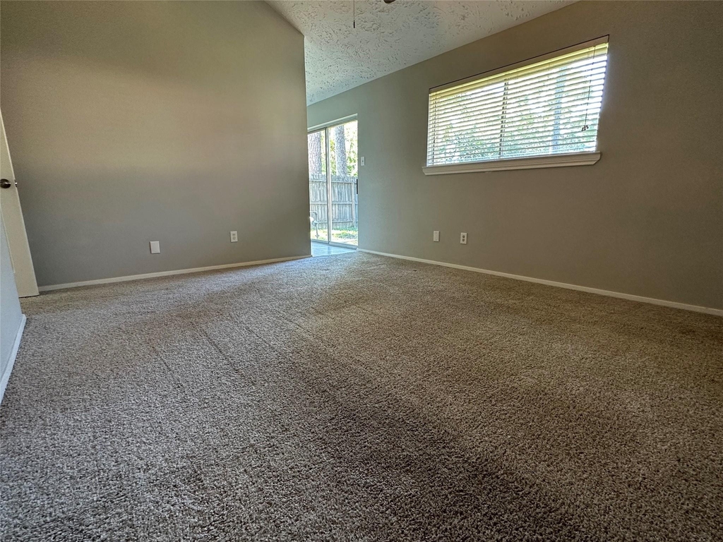 17007 Jane Lynn Lane - Photo 7