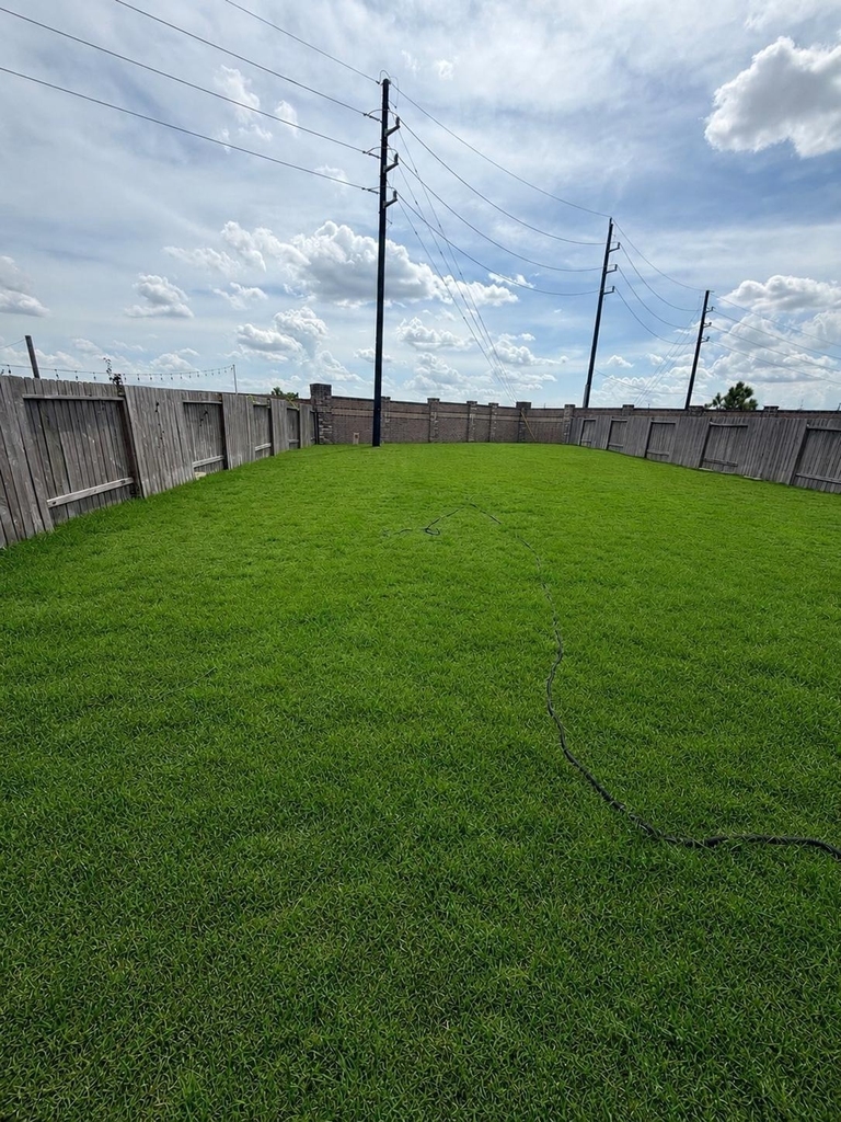 29747 Cayenne Circle - Photo 19