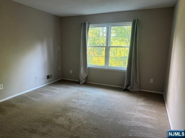 335 Linden - Photo 12