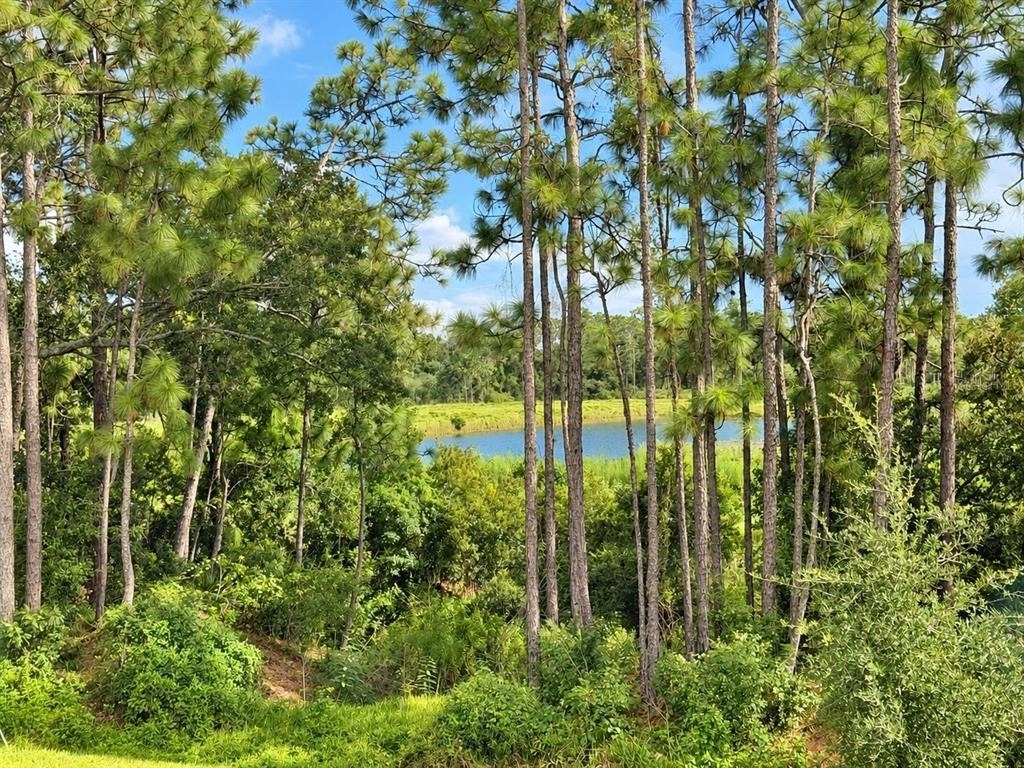 5232 Prairie Preserve Run - Photo 19